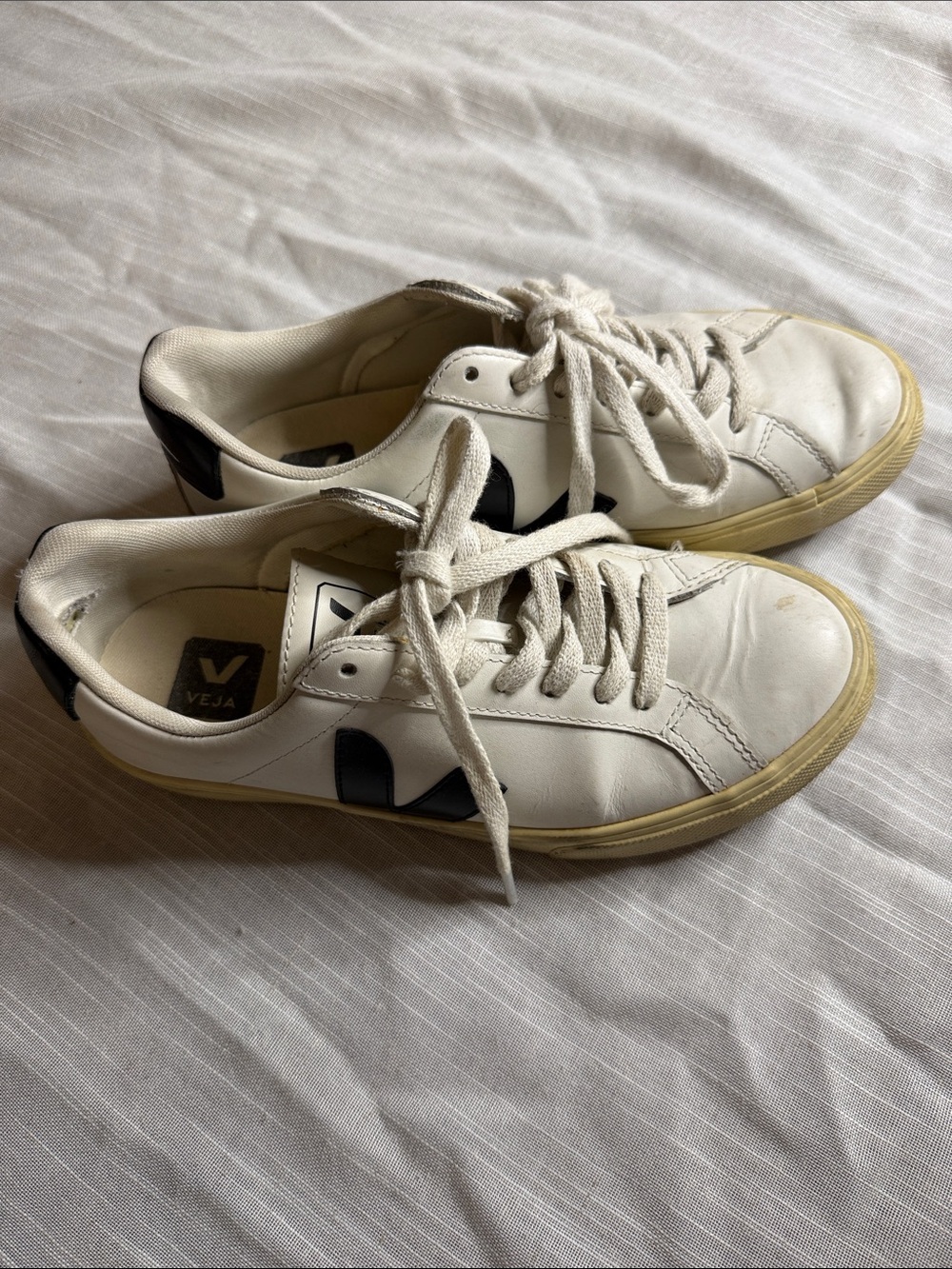 Veja Leather Sneakers in White with Black V Logo